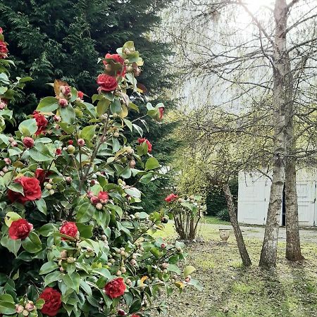 The Cottage San Maurizio D'opaglio ภายนอก รูปภาพ