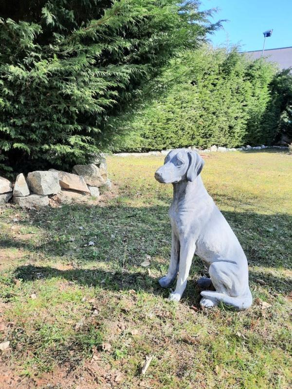 The Cottage San Maurizio D'opaglio ภายนอก รูปภาพ