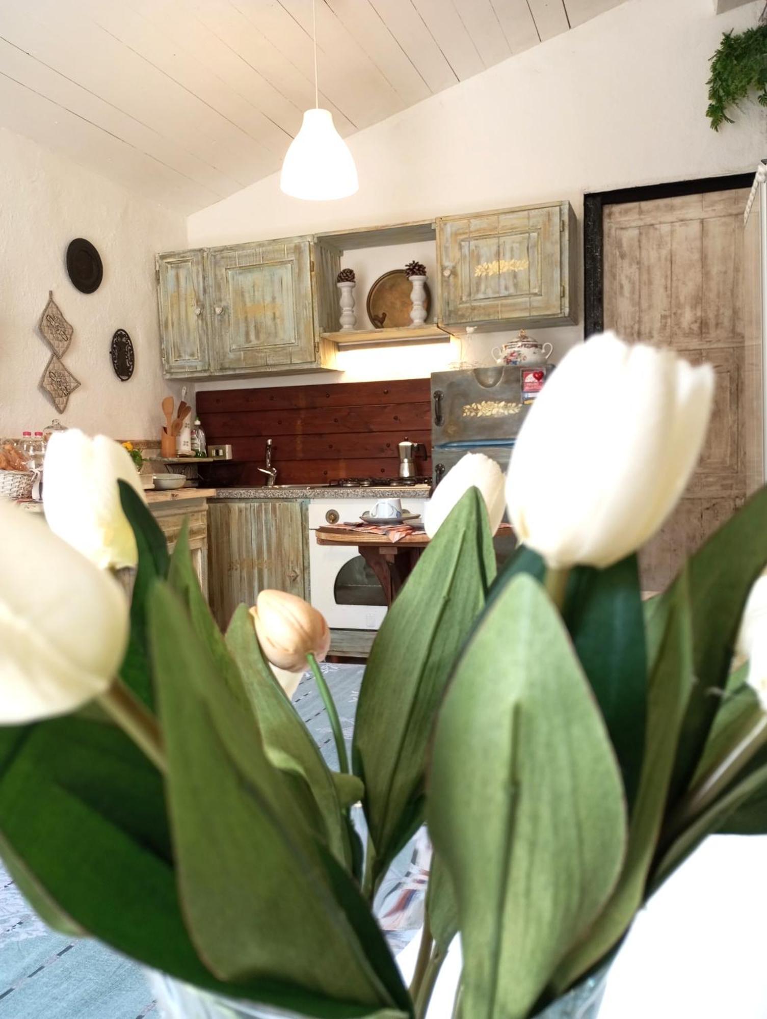 The Cottage San Maurizio D'opaglio ภายนอก รูปภาพ