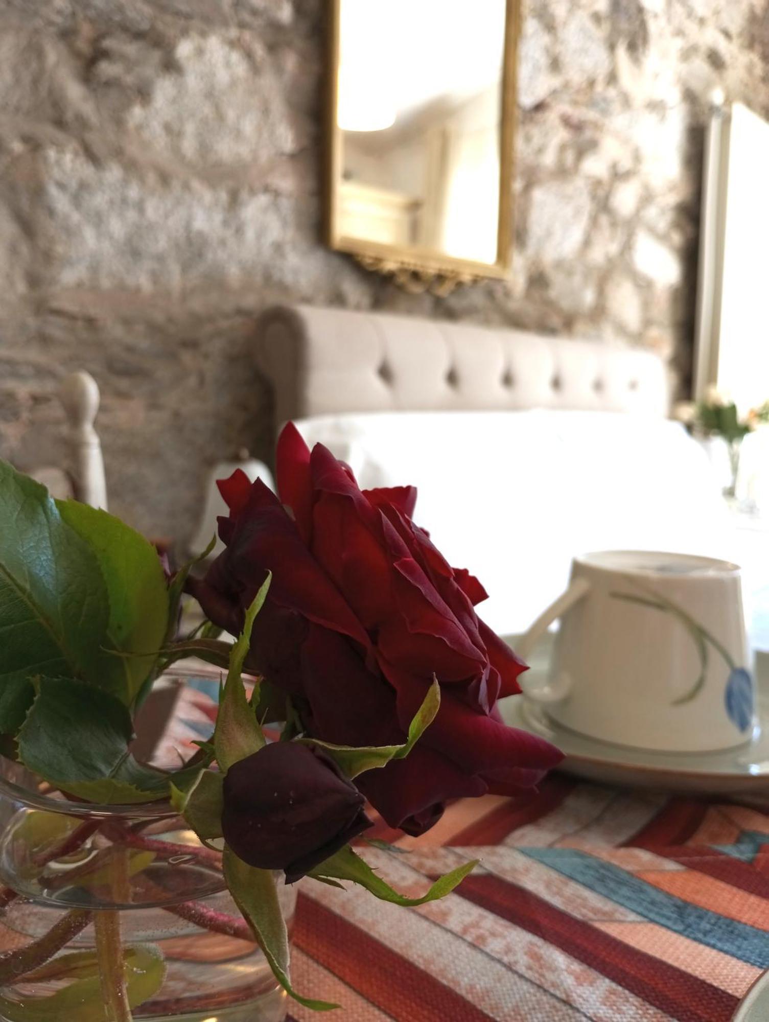 The Cottage San Maurizio D'opaglio ภายนอก รูปภาพ